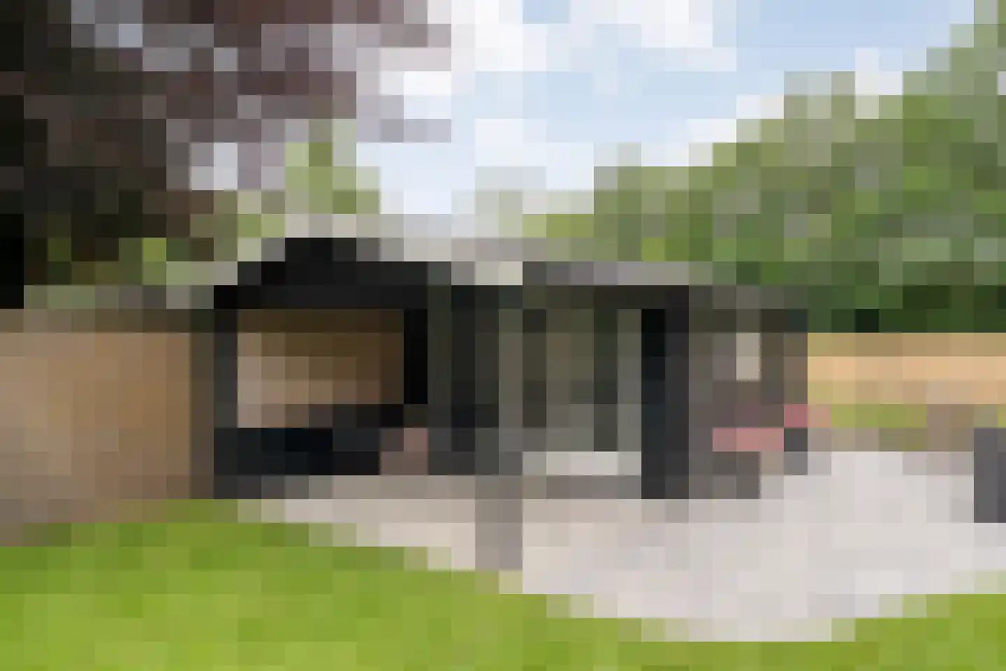 Linthorst Homanstraat 48 Wilhelminaoord thumbnail 47