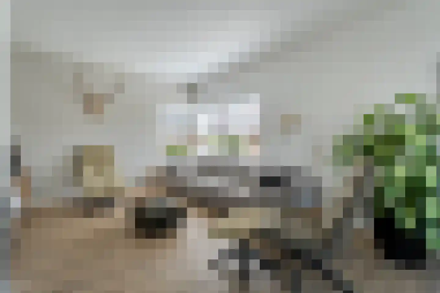 Linthorst Homanstraat 7 Wilhelminaoord thumbnail 20