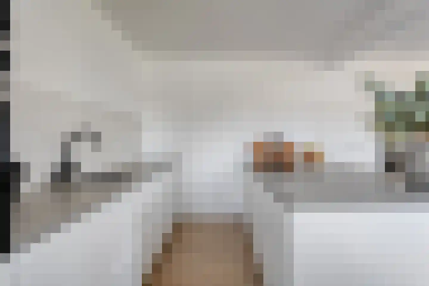 Linthorst Homanstraat 7 Wilhelminaoord thumbnail 26