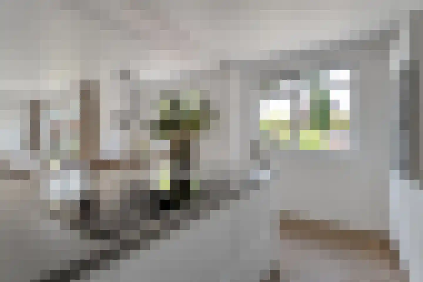 Linthorst Homanstraat 7 Wilhelminaoord thumbnail 27