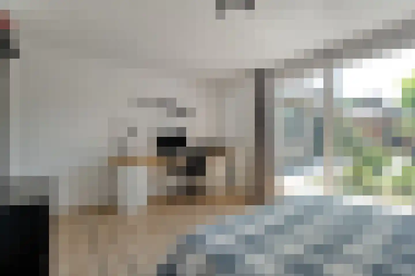 Linthorst Homanstraat 7 Wilhelminaoord thumbnail 42