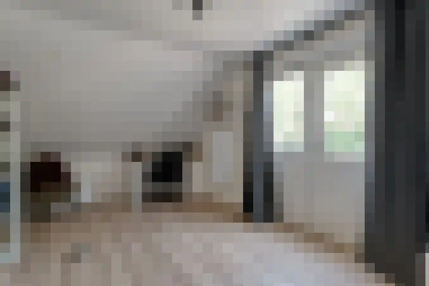 Linthorst Homanstraat 7 Wilhelminaoord thumbnail 46