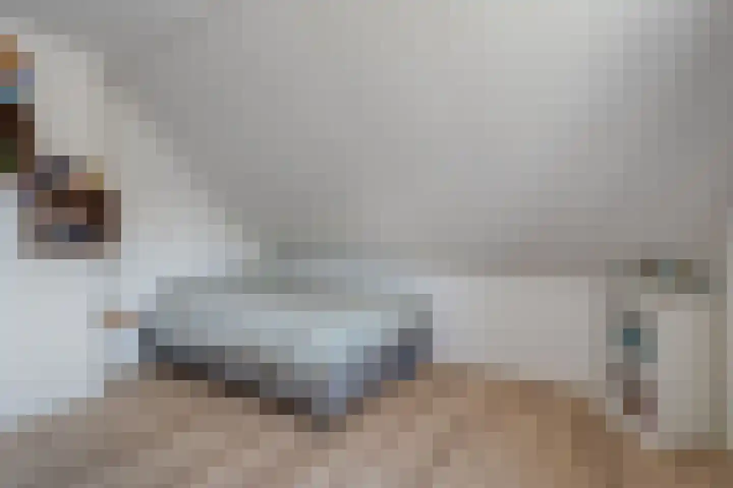 Linthorst Homanstraat 7 Wilhelminaoord thumbnail 50