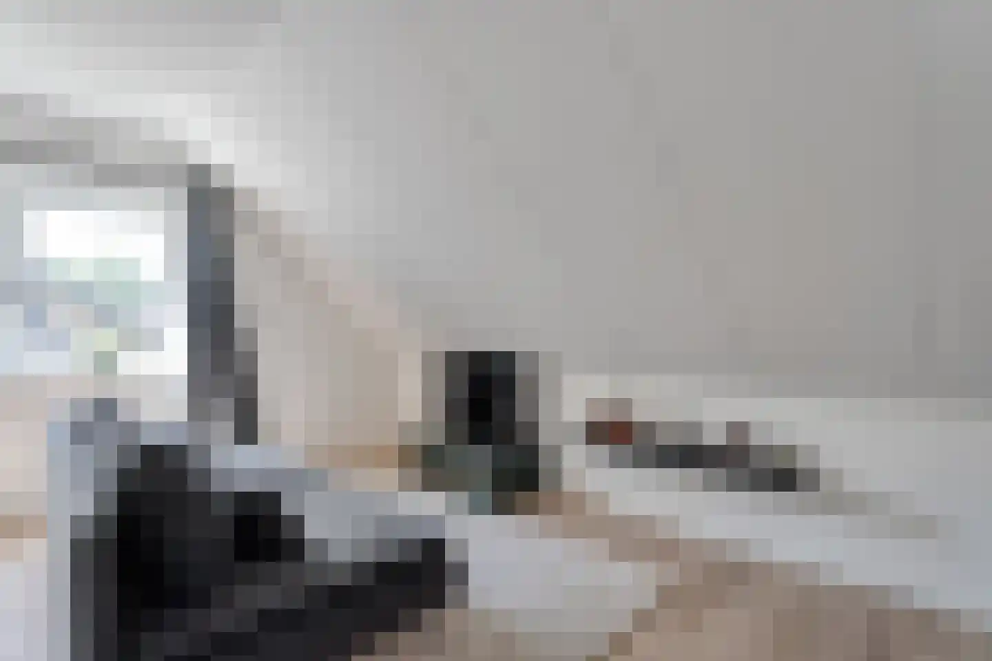 Linthorst Homanstraat 7 Wilhelminaoord thumbnail 51