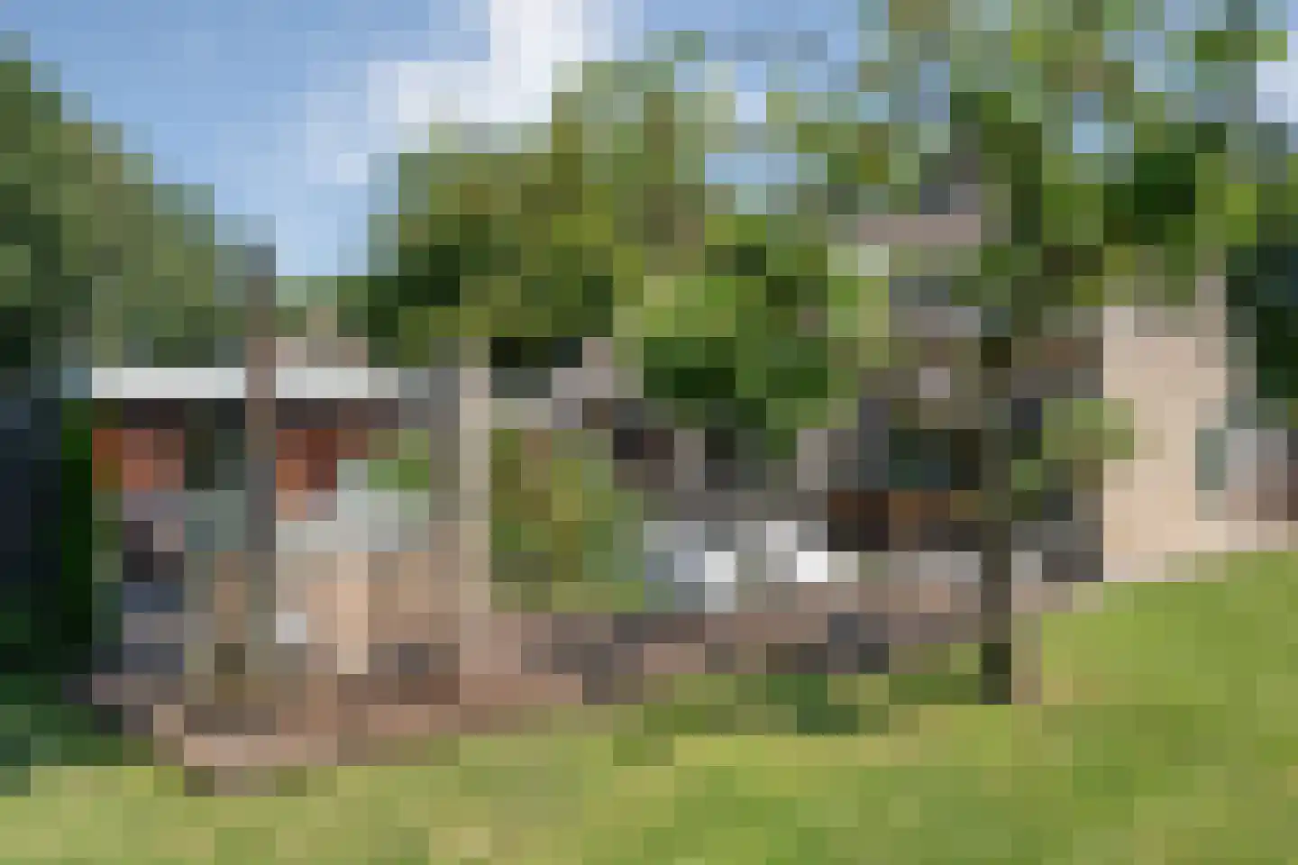 Linthorst Homanstraat 7 Wilhelminaoord thumbnail 52