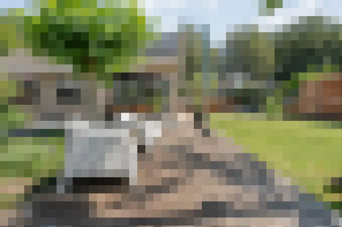 Linthorst Homanstraat 7 Wilhelminaoord thumbnail 55