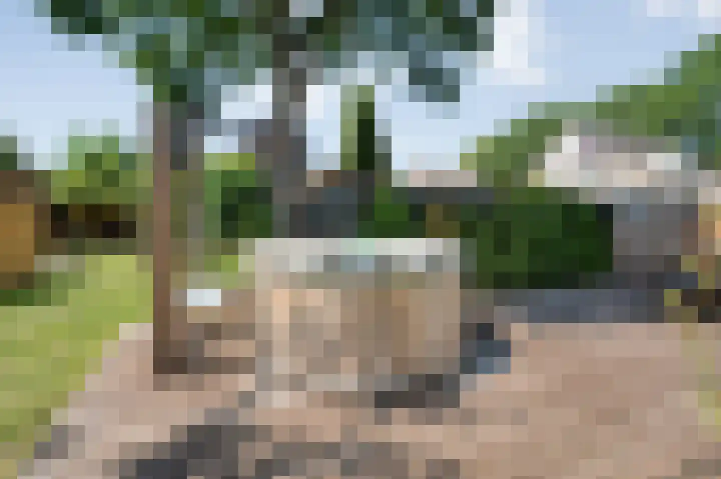 Linthorst Homanstraat 7 Wilhelminaoord thumbnail 57