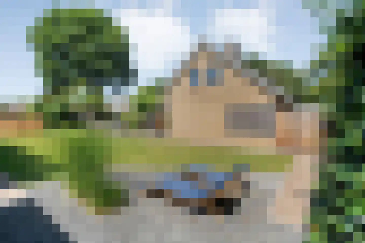 Linthorst Homanstraat 7 Wilhelminaoord thumbnail 58