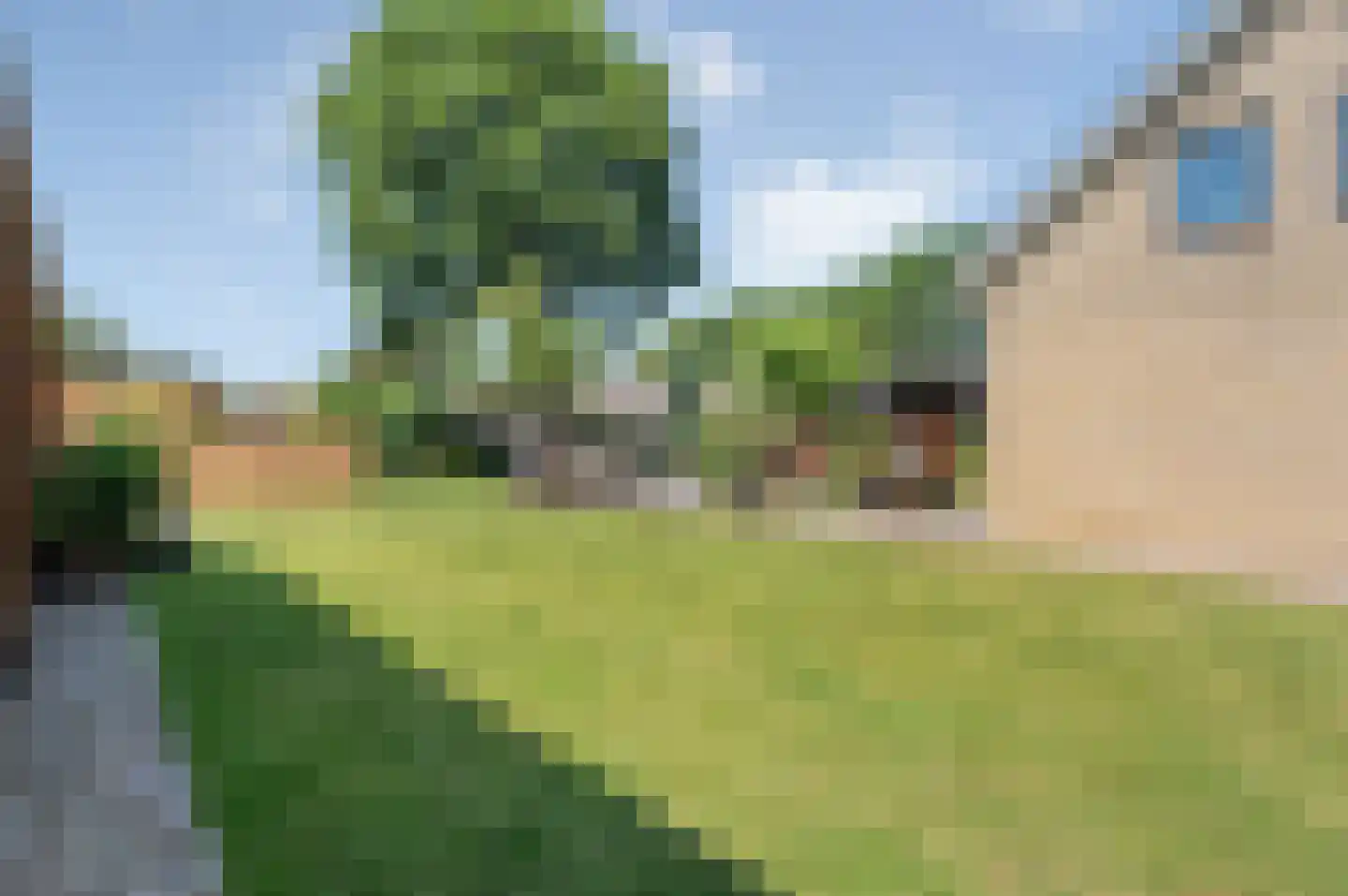 Linthorst Homanstraat 7 Wilhelminaoord thumbnail 59