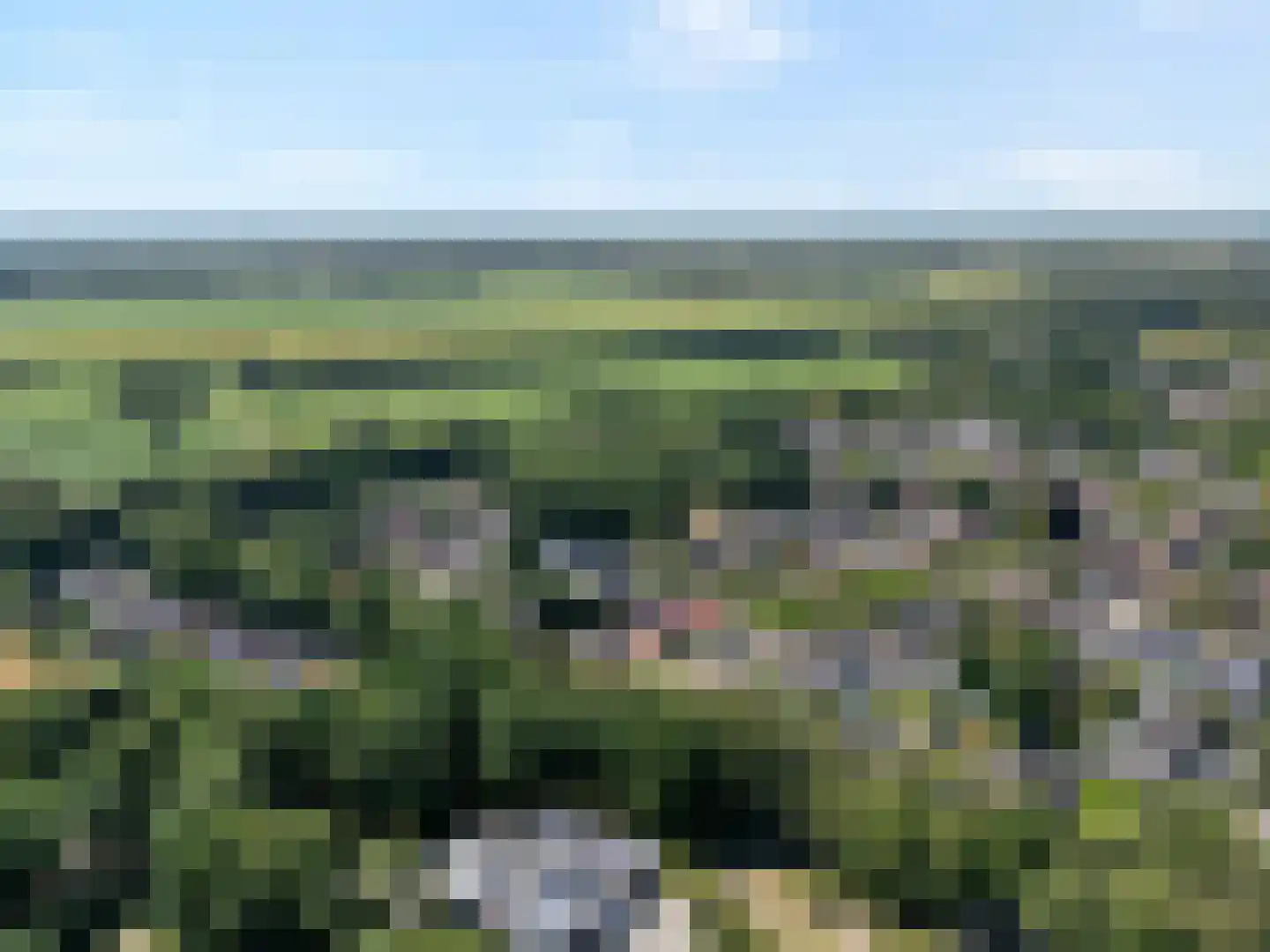 Linthorst Homanstraat 7 Wilhelminaoord thumbnail 6