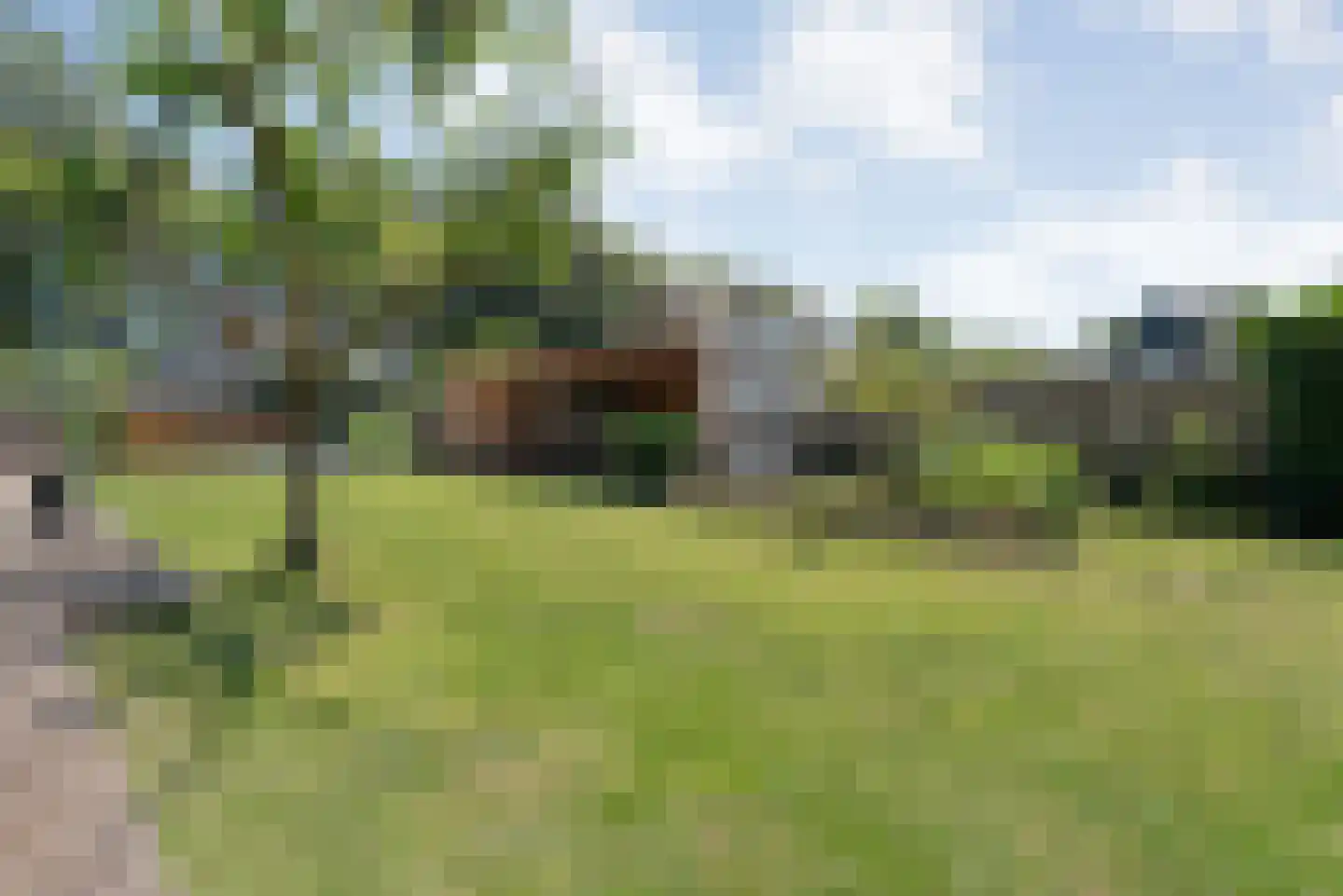 Linthorst Homanstraat 7 Wilhelminaoord thumbnail 60