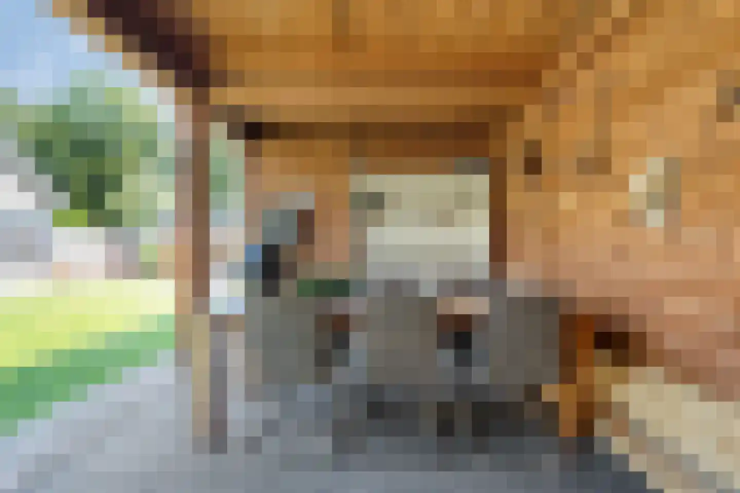 Linthorst Homanstraat 7 Wilhelminaoord thumbnail 66