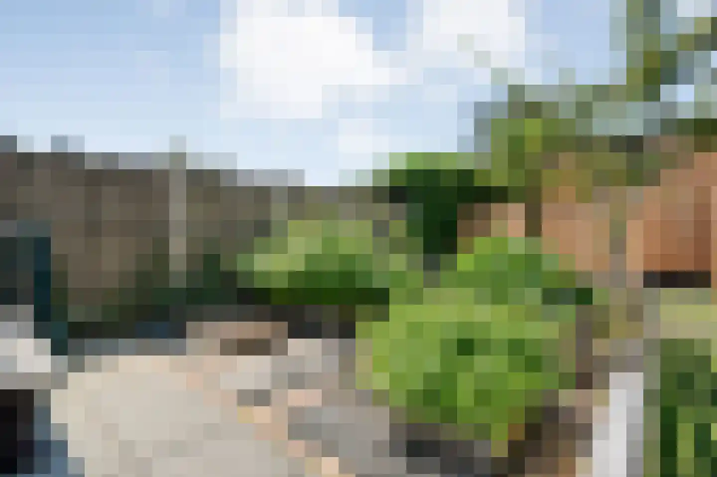 Linthorst Homanstraat 7 Wilhelminaoord thumbnail 67