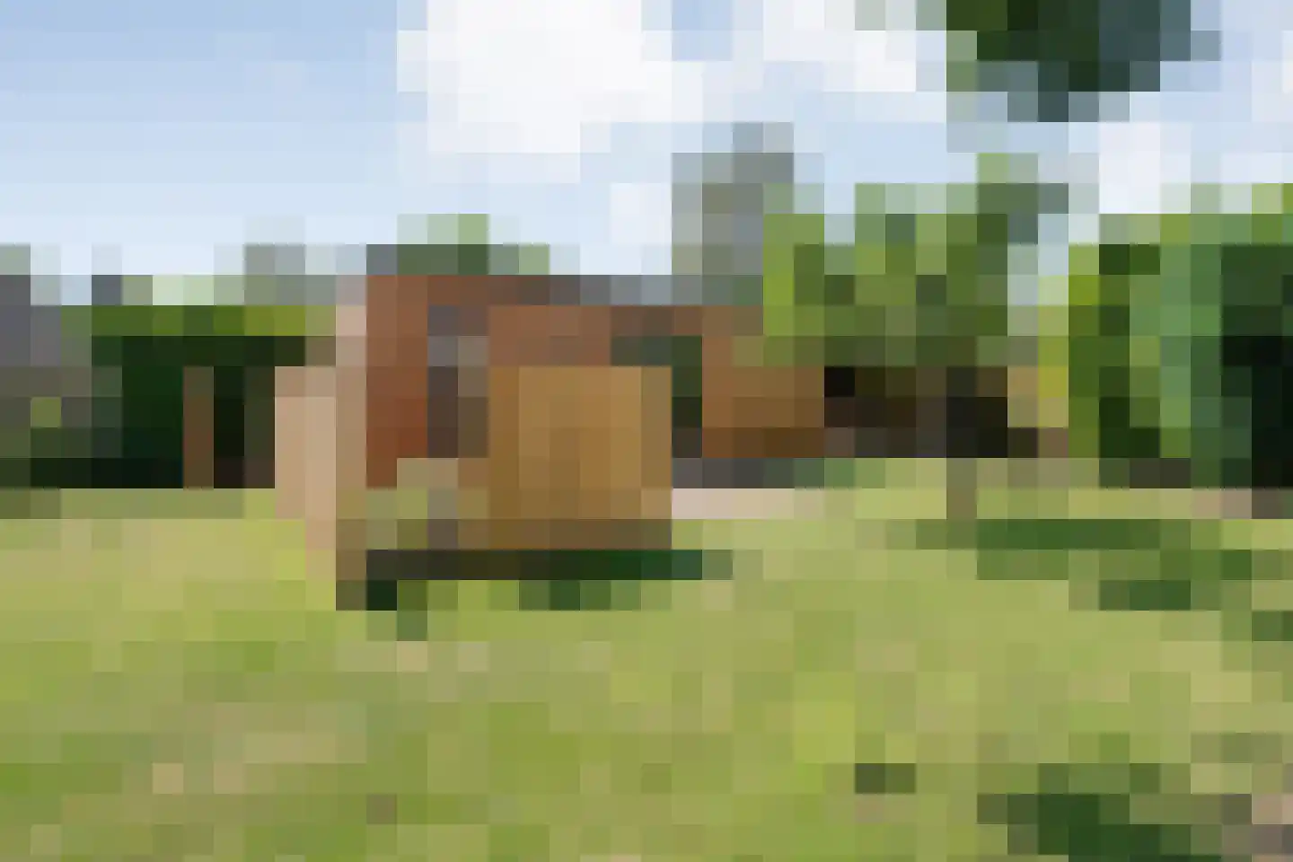 Linthorst Homanstraat 7 Wilhelminaoord thumbnail 68