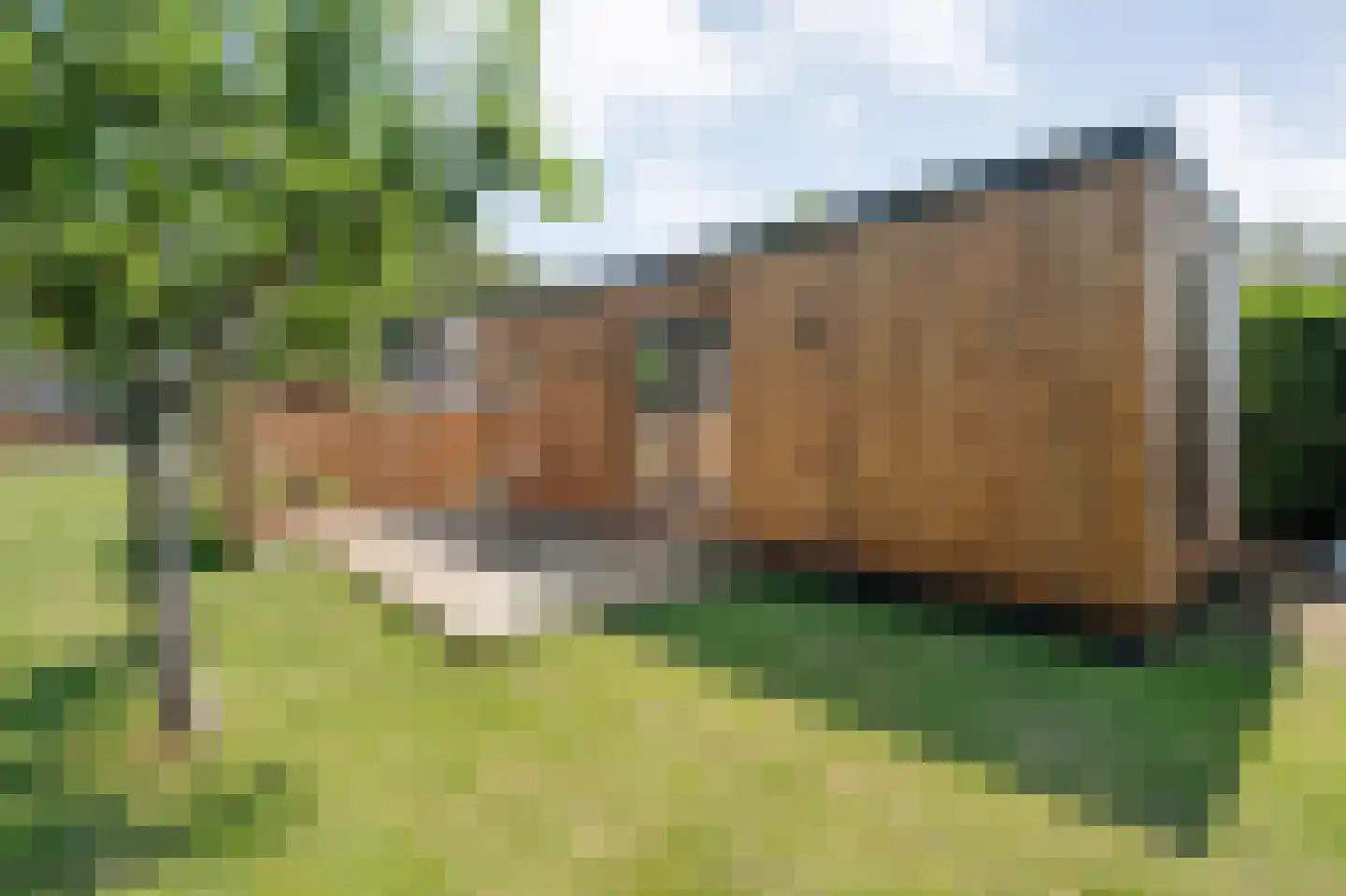 Linthorst Homanstraat 7 Wilhelminaoord thumbnail 69