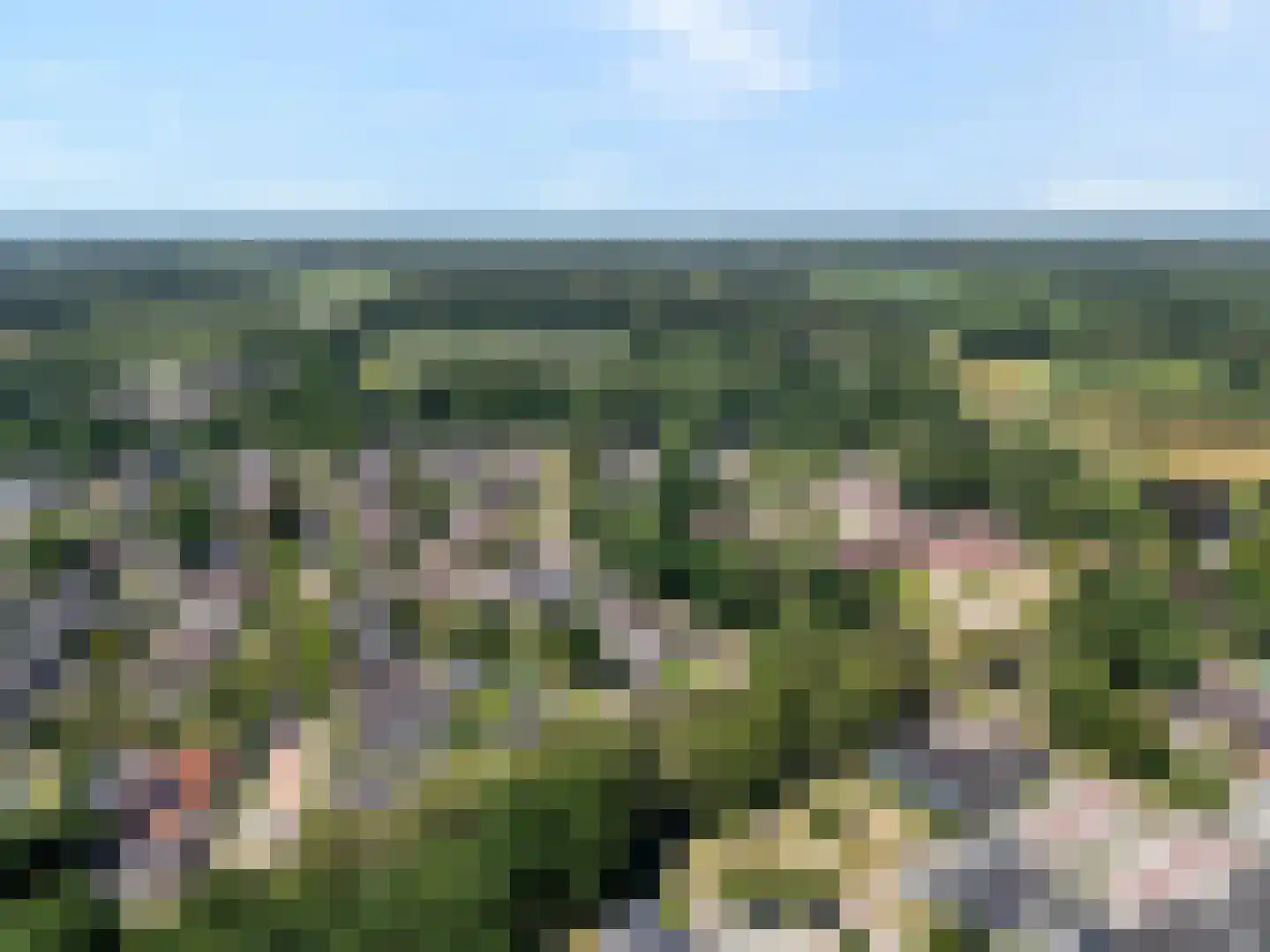 Linthorst Homanstraat 7 Wilhelminaoord thumbnail 7