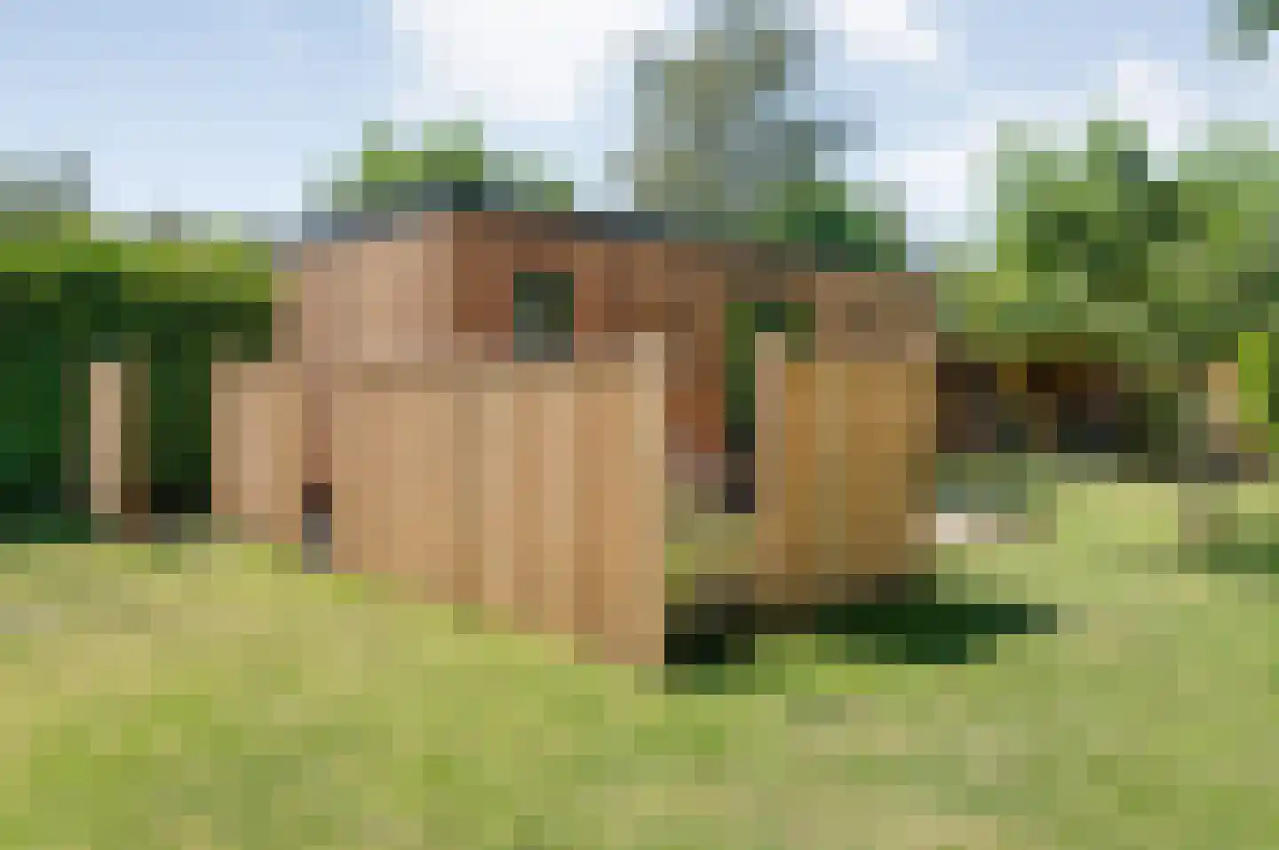 Linthorst Homanstraat 7 Wilhelminaoord thumbnail 71