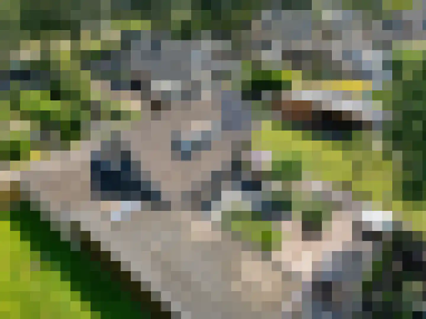 Linthorst Homanstraat 7 Wilhelminaoord thumbnail 72