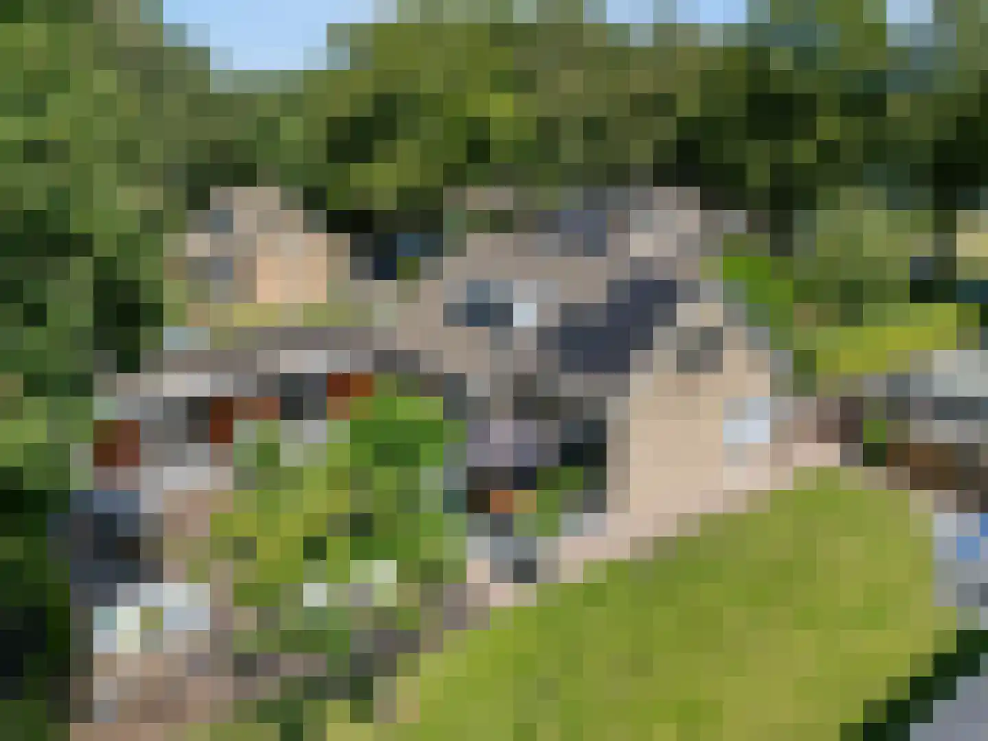 Linthorst Homanstraat 7 Wilhelminaoord thumbnail 8