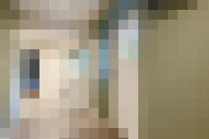 Linthorst Homanweg 15 Beilen thumbnail 15