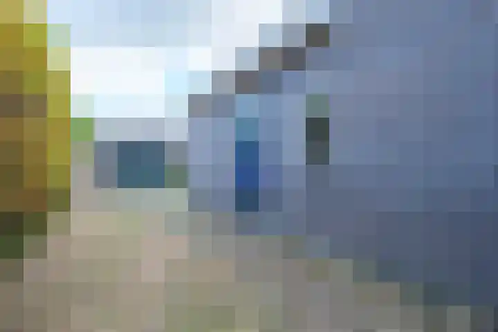 Linthorst Homanweg 15 Beilen thumbnail 34