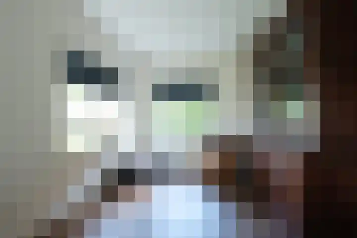 Linthorst Homanweg 15 Beilen thumbnail 6
