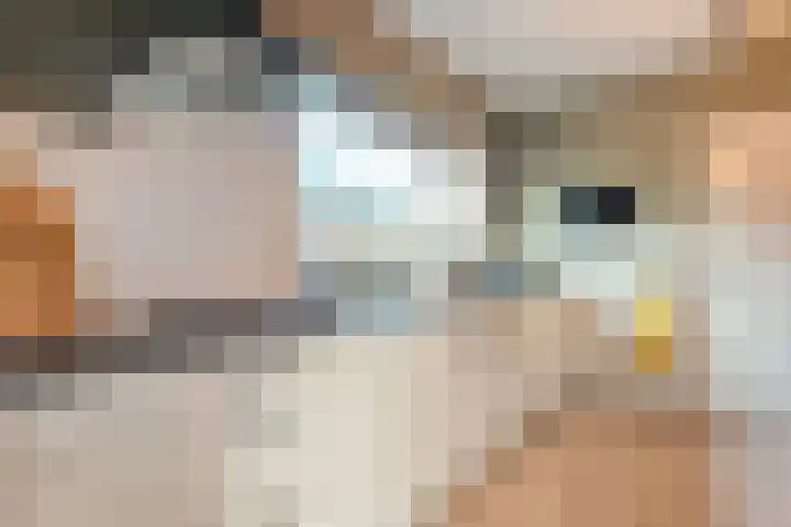 Linthorstlaan 20 Vriezenveen thumbnail 17