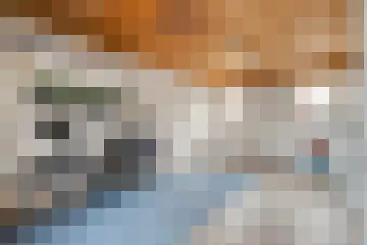 Linthorstlaan 20 Vriezenveen thumbnail 27