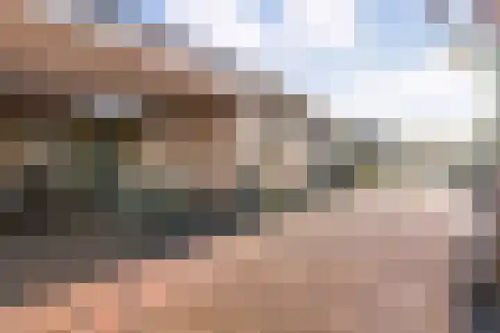 Linthorstlaan 20 Vriezenveen thumbnail 41