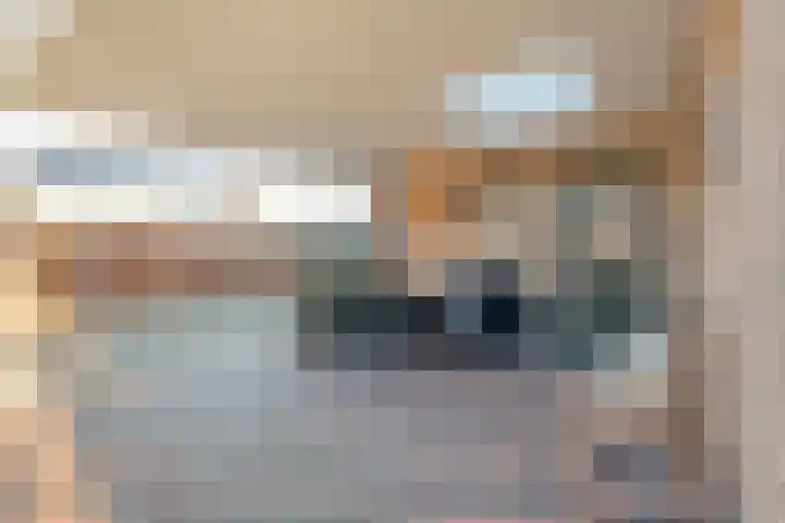 Linthorstlaan 20 Vriezenveen thumbnail 42