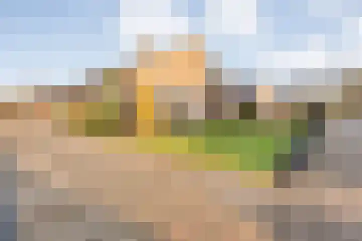 Linthorstlaan 20 Vriezenveen thumbnail 6