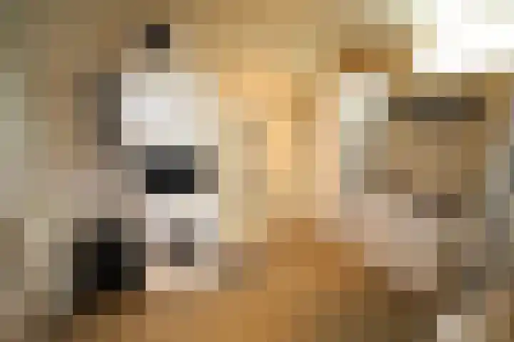 Linthorstlaan 30 Vriezenveen thumbnail 12
