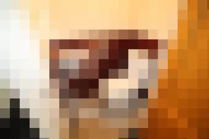Linthorstlaan 30 Vriezenveen thumbnail 13