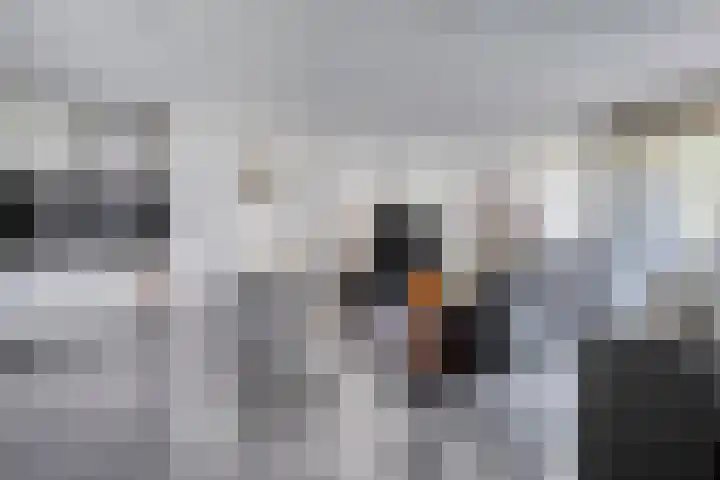 Linthorstlaan 30 Vriezenveen thumbnail 21