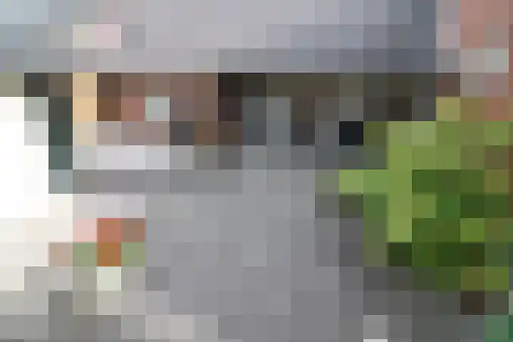 Linthorstlaan 30 Vriezenveen thumbnail 21