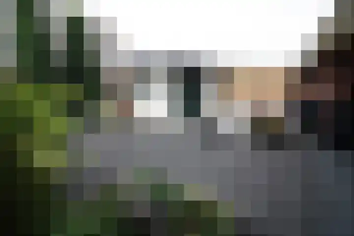 Linthorstlaan 30 Vriezenveen thumbnail 22