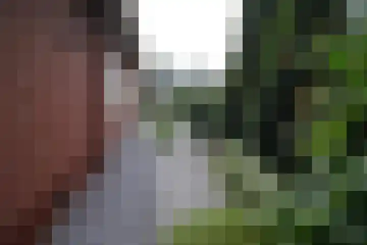 Linthorstlaan 30 Vriezenveen thumbnail 25