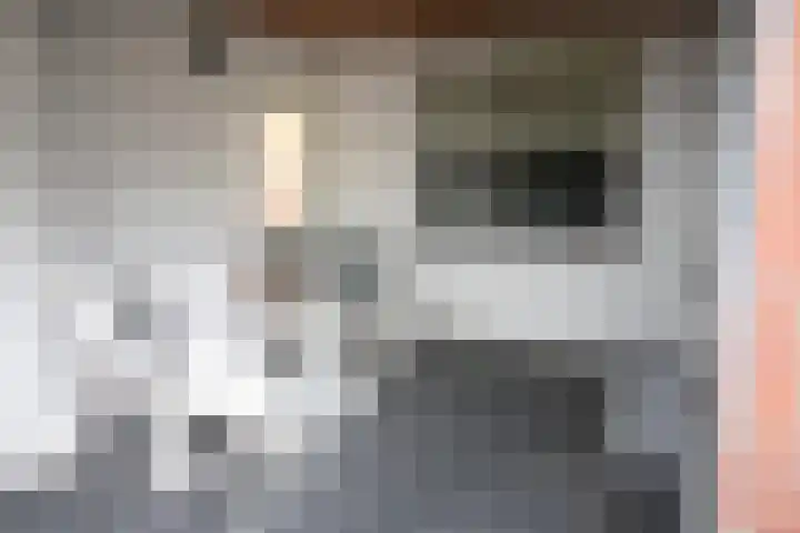Linthorstlaan 30 Vriezenveen thumbnail 26