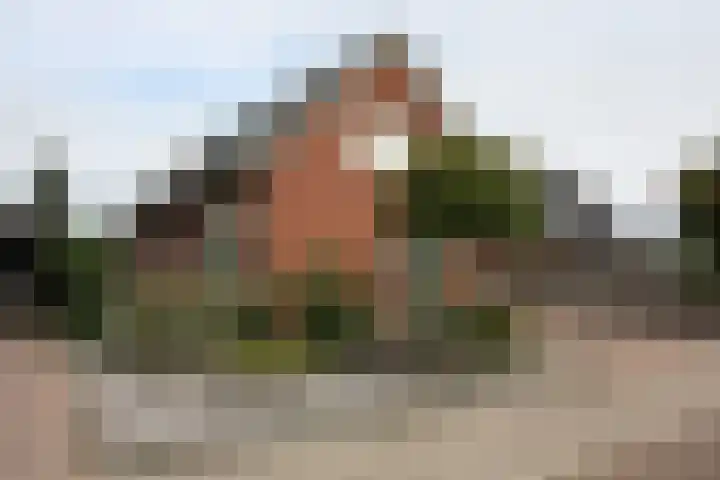 Linthorstlaan 30 Vriezenveen thumbnail 30