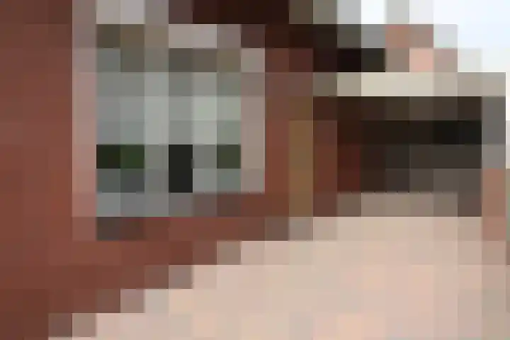 Linthorstlaan 30 Vriezenveen thumbnail 33
