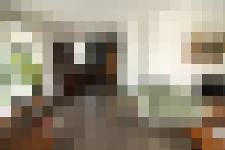 Linthorstlaan 30 Vriezenveen thumbnail 7