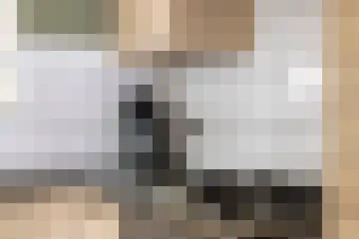 Linthorstlaan 33 Vriezenveen thumbnail 10