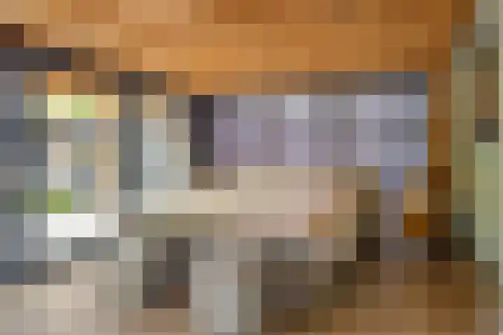 Linthorstlaan 33 Vriezenveen thumbnail 11