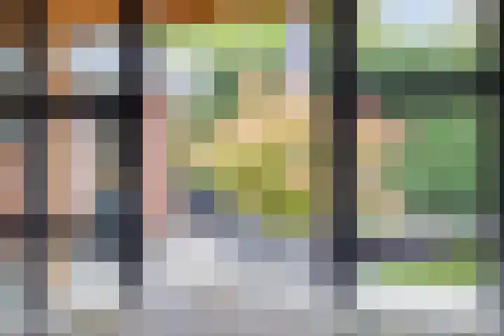 Linthorstlaan 33 Vriezenveen thumbnail 12
