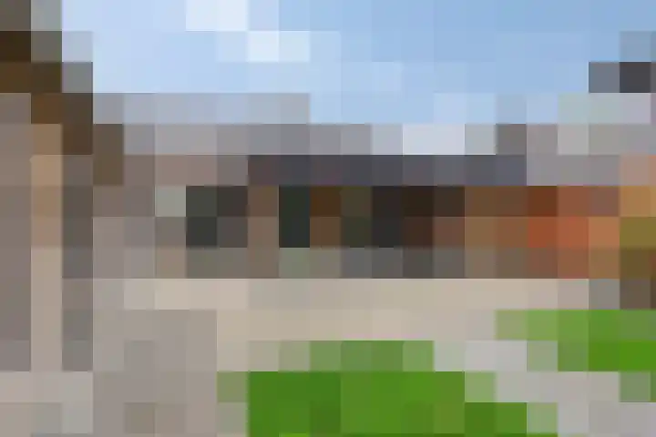 Linthorstlaan 33 Vriezenveen thumbnail 18