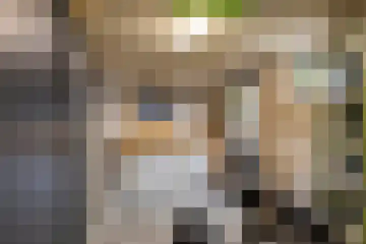 Linthorstlaan 33 Vriezenveen thumbnail 25