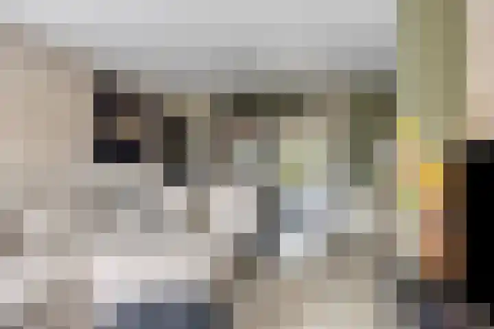 Linthorstlaan 33 Vriezenveen thumbnail 6