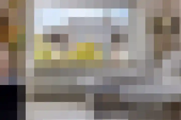 Linthorstlaan 33 Vriezenveen thumbnail 7
