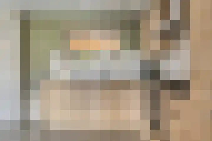 Linthorstlaan 33 Vriezenveen thumbnail 9