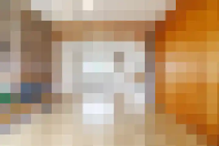 Linthorstlaan 40 Vriezenveen thumbnail 11